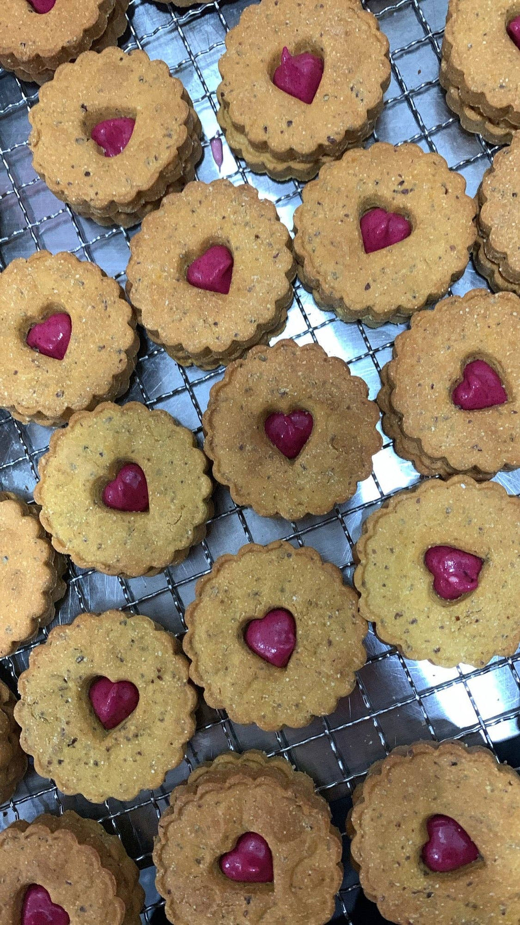 Classic Biscuit Collection